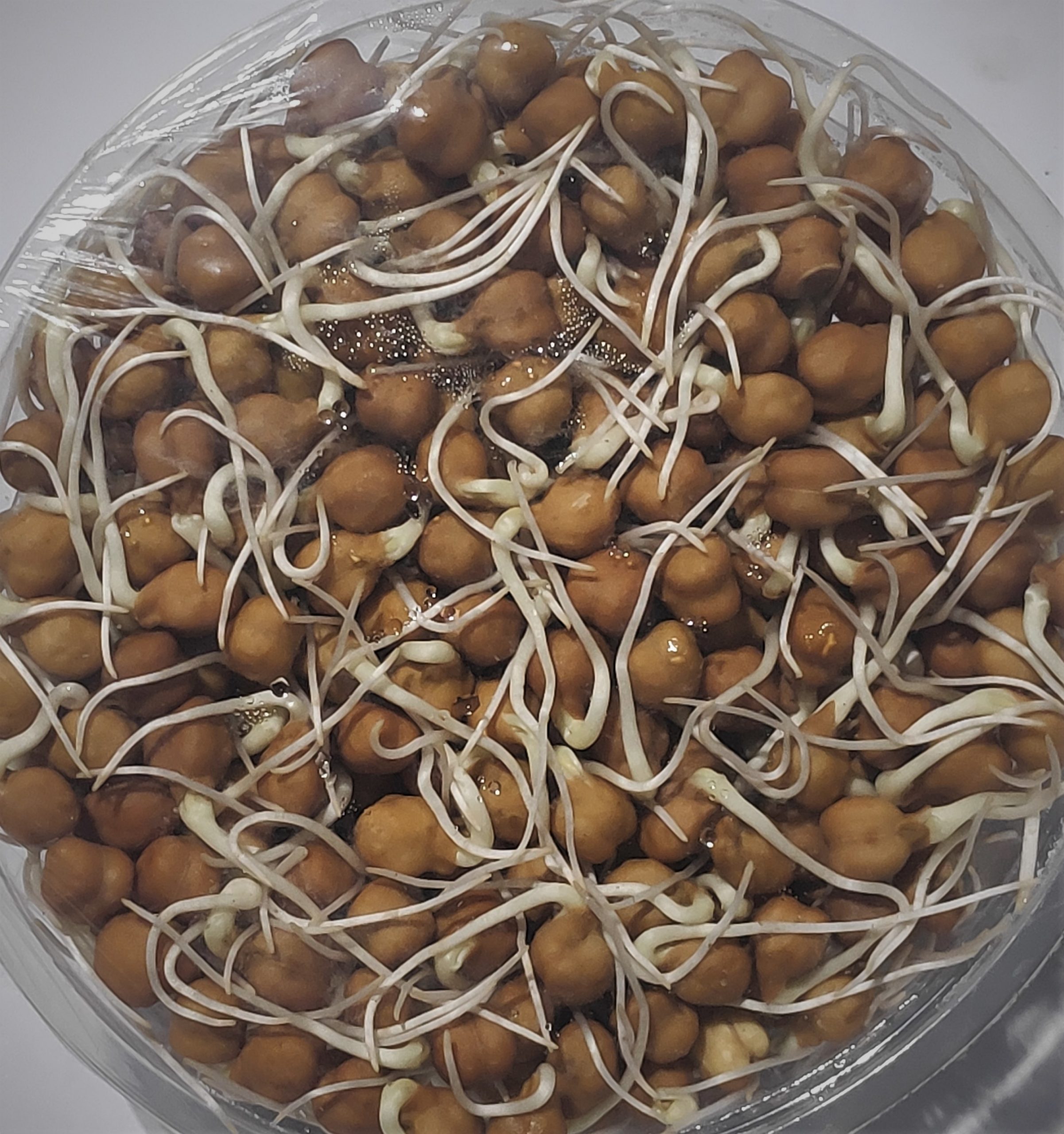 Sprouts Channa Brown 200 Gm Shri Sai Veggies