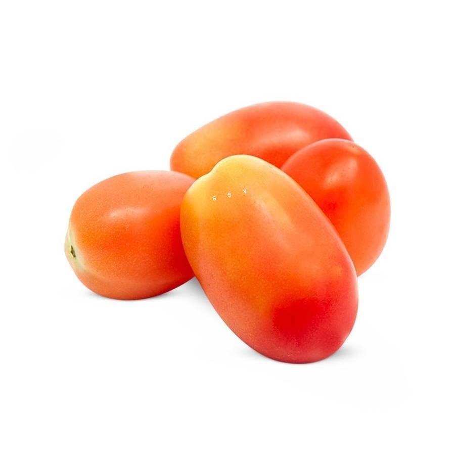 Tomato – Hybrid – Shri Sai Veggies