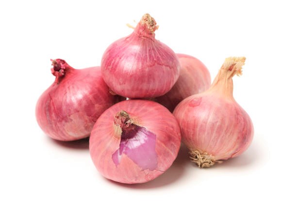 Onion