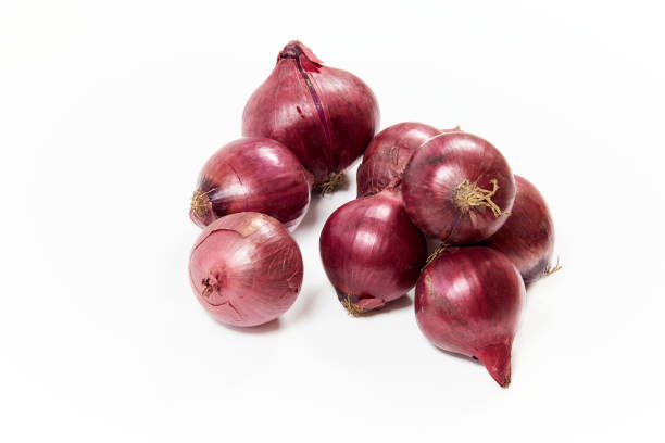 Onion-Sirka